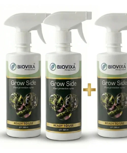 Growside